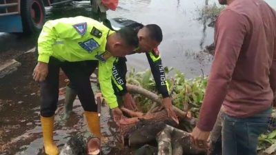 Peduli Jalan Rusak, Personil Polres Pelalawan Bersama Masyarakat Timbun Jalan Berlubang Akibat Banjir