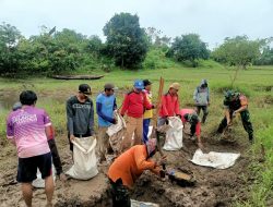Agar Mudah Di Lintasi Warga Babinsa Berjibaku Memperbaiki Jalan Lingkungan