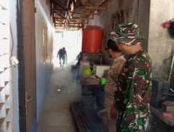 Cegah Penyebaran DBD Babinsa Sasar Penyemprotan Flogging Di Kampung Babakan Pasar
