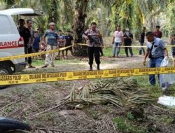 Dituduh Ambil Brondolan Sawit, Remaja di Rohul Tewas Ditebas Teman
