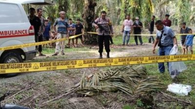 Dituduh Ambil Brondolan Sawit, Remaja di Rohul Tewas Ditebas Teman