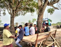 Gagal Panen Jadi Keluhan Petani Di Kertajaya