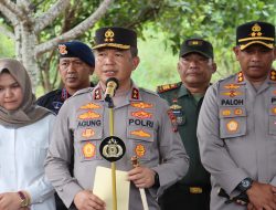 Dengan Teknologi, Polda Sumut Temukan Ladang Ganja Seluas 5 Hektar