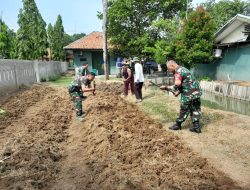 Program Urban Farming Koramil 11 Pebayuran Bersama Masyarakat Tanam  200 Pohon Cabai