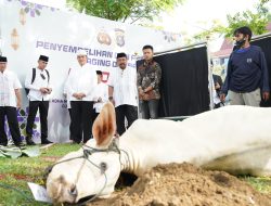 Idul Adha 1445 H Tahun 2024, Polda Riau Serahkan 32 Sapi Limosin dan 20 Ekor Kambing