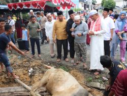 Idul Adha 1445 H, Polres Pelalawan Sembelih 9 Ekor Sapi Hewan Kurban