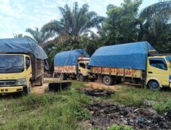 4 Unit Cold Diesel Bermuatan Kayu Ilegal Logging Diamankan Ditreskrimsus Polda Riau Bersama Polsek Kampar Kiri