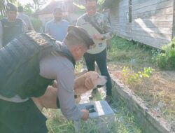 Razia Kampung Narkoba Panger, Tim Gabungan Polda Riau Amankan 7 Pelaku