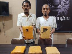 Polsek Bagan Sinembah Gagalkan Upaya Penyelundupan 5 Kilogram Ganja Kering