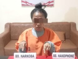 Sita 17 Paket Sabu, Cewek Cantik Warga Desa Suka Mulya Diringkus Polisi
