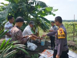 Sampaikan Pesan Kamtibmas Pilkada Damai, Personil Polres Pelalawan Kunjungi Petani Dukung Swasembada Pangan Presiden Prabowo Subianto