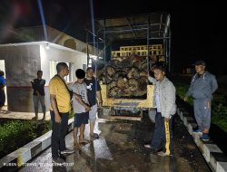 Polisi Berhasil Mengungkap Kasus Pencurian Buah Kelapa Sawit di Desa Banjar Benai