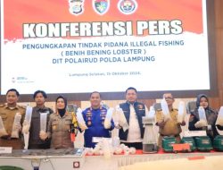 KKP Apresiasi Polda Lampung Ungkap Penyelundupan Baby Lobster