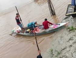 Nelayan di Rimba Melintang Tewas Diterkam Buaya Sungai Rokan