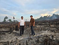 Polisi Berhasil Mengungkap Kasus Pembakaran dan Pendudukan Kawasan Hutan Lindung di Kuansing