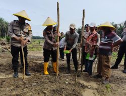 Dukung Ketahanan Pangan Nasional, Polsek Bukit Kapur Maksanakan Kegiatan Penanaman Benih Jagung