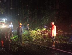 TNI-Polri Kolaborasi dengan Masyarakat Tangani Pohon Tumbang di Belega-Blahbatuh
