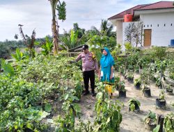 Polsek Rumbai Pesisir Dorong Pemaanfaatan Lahan  Produktif Untuk Ketahanan Pangan