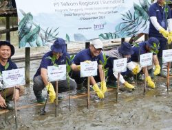 Telkom Regional 1 Tanam 5.000 Bibit Mangrove di Desa Tanjung Rejo