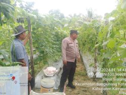 Aipda M Lumba Harahap, Bhabinkamtibmas yang Bersemangat Wujudkan Ketahanan Pangan di Kelurahan Pasir Sialang