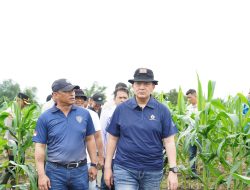 Dorong Implementasi Program Prioritas Presiden, Kapolda Riau Tinjau Dua Lahan Ketahanan Pangan di Kabupaten Kampar