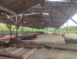 Ilegal Logging di Kalbar Marak, Polda Dituding Hanya Berjanji Tanpa Tindakan