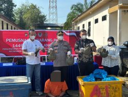 Kapolres Rohil Pimpin Press Release Pemusnahan Barang Bukti 1449 Belangkas