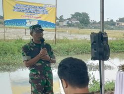 Kodim 0509 Bersama Petani, BULOG dan BRIN Wujudkan Pertanian Berbasis Riset