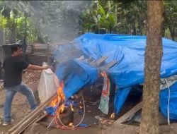 Polrestabes Medan dan Polsek Jajaran Gerebek 8 Sarang Narkoba