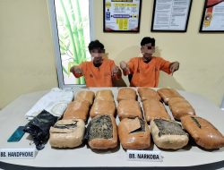Satresnarkoba Polres Kampar Bongkar Jaringan Narkoba Antar Provinsi dan Sita 15 Kg Ganja, 2 Tersangka Terancam 20 Tahun Penjara