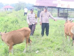 Penilaian Perkarangan Bergizi Desa Beringin Taluk, Polres Kuansing Dukung Program Asta Cita Presiden