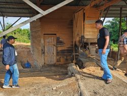 Cegah Praktik Illegal Logging, Satreskrim Polres Kampar Tingkatkan Patroli di Kecamatan Salo