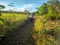 Libatkan Warga, Polisi Intensifkan Pencarian Tersangka Kabur di Kuari Desa Sungai Jalau