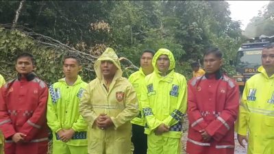 Gerak Cepat, Sat Samapta Polres Kampar Evakuasi Pohon Tumbang di Jalan Petapahan-Bangkinang
