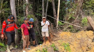 Polres Rohul Tangkap Pelaku Pembakaran Lahan di Hutan Produksi Terbatas (HPT) Tanjung Medan