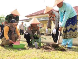 Wujud Nyata Program Ketahanan Pangan Polri, Kapolres Siak Hadiri Panen Raya Jagung di Polsek Bungaraya