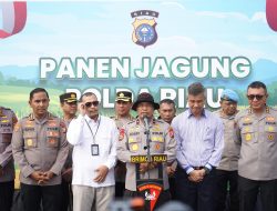 Polda Riau Panen Mandiri Jagung Tahap II, Komitmen Dukung Swasembada Pangan 2025