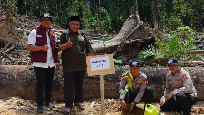 Bukan Cuma Tangkap Pelaku, Kapolda Riau Juga Tanam Pohon di Lokasi Perambahan Hutan