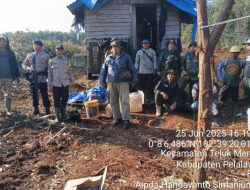 Kronologi Operator Alat Berat PT Citra Holindo Tewas Diterkam Harimau Sumatera