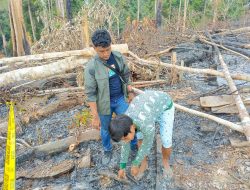 Nekat Bakar Lahan untuk Kebun, Warga Batang Gansal Inhu Diciduk Polisi