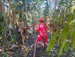Polresta Pekanbaru, PT PHR dan Warga Padamkan Kebakaran Lahan di Areal Gedung Pramuka Lembah Sari