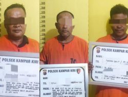 Polsek Kampar Kiri Tangkap Tiga Pelaku Perambahan Hutan di Desa Tanjung Belit