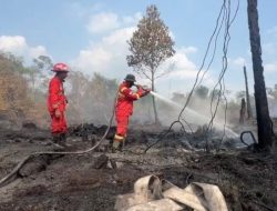 Periksa Beberapa Saksi, Polres Kampar Telusuri Kebakaran Lahan di Tapung