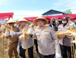 Simbol Kolaborasi untuk Ketahanan Pangan, Kapolda Riau dan Bupati Pelalawan Panen 15 Ton Jagung