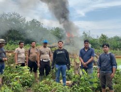 Polsek Kuantan Hilir Tertibkan PETI, 9 Rakit Dimusnahkan di Wilayah Kuantan Hilir Seberang ko