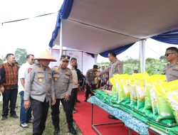 Penguatan Ketahanan Pangan, Polda Riau Gelar Panen Raya Serentak Kuartal III 2025