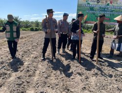 Dukung Swasembada Pangan, Polres Dumai Gelar Penanaman Jagung Pipil di Bukit Kapur