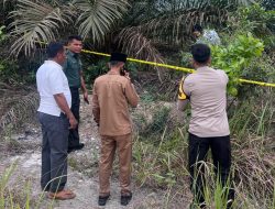 Ditemukan MD, Polisi Kejar Ortu Pembuang Bayi Malang di Sungai Pinang