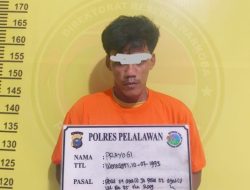 Sita 17 Paket Siap Edar, Satresnarkoba Polres Pelalawan Amankan Pengedar Sabu di Kecamatan Langgam