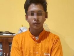 Amankan 18,43 Gram BB, Polsek Tapung Hilir Tangkap Pengedar Gaun Ganja Kering